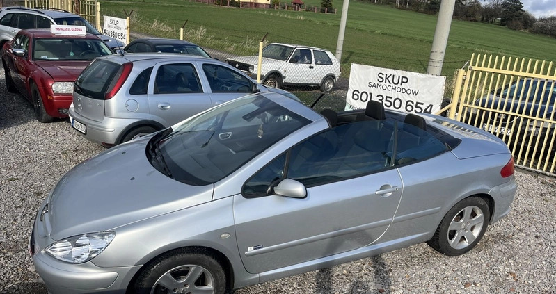 Peugeot 307 CC cena 9800 przebieg: 170000, rok produkcji 2004 z Mikołajki małe 742